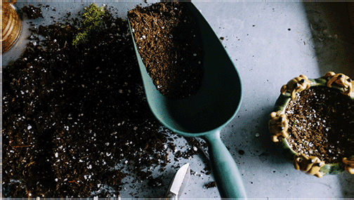Potting soil and garden trowel